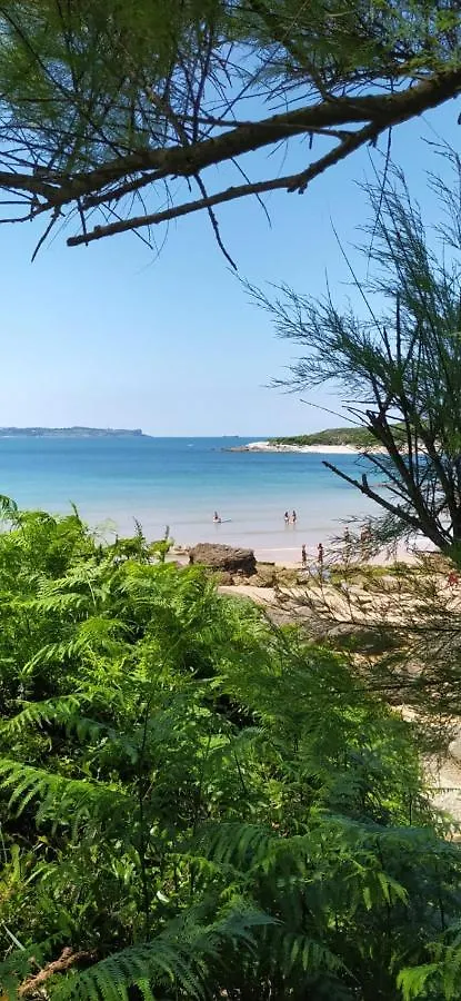 Apartamentos Niza Santander